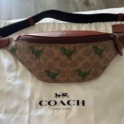 Dino Coach Bag 