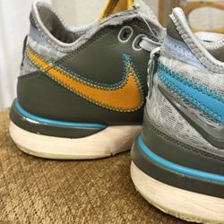 Nike Zoom LeBron NXXT Size 9