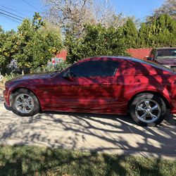 2005 Ford Mustang
