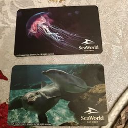 two tickets for seaworld to enjoy the holidays   due day is 12/31 is a one day  only  $100 for the pair
