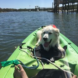 Emotion Kayak 12’