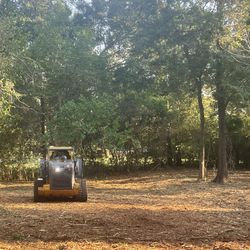 Limpieza De Terrenos 