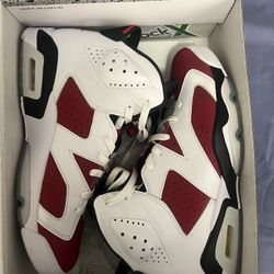 Jordan 6s Carmine 