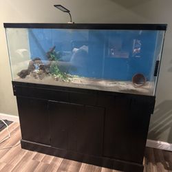 55 gallon fish tank with black storage stand