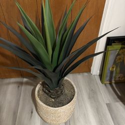 Artificial House Plant