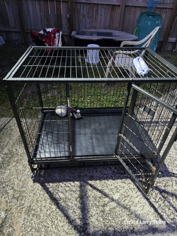 Steel Dog Cage