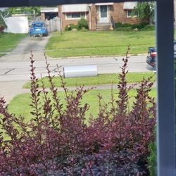 Free Scrap Hot Water Tank 