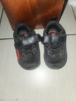 Pumas