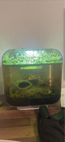 Desktop Aquarium