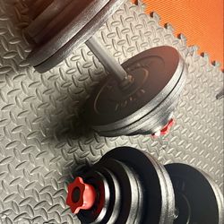 Beast/Smooth Set of Cast Iron Adjustable Dumbbells Yes4All.  Brute W: 150 pounds