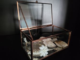 Rose Gold Clear Jewelry Box
