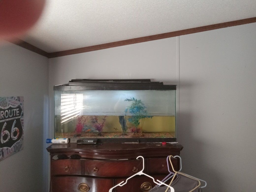 Fish Tank Roughly 20-25g I'm Not To Sure