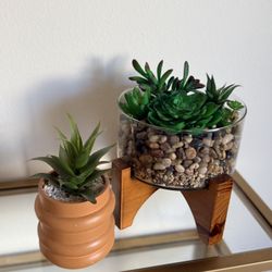 2 faux succulent plants with glass vase