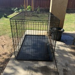 KennelMaster Black Folding Dog .