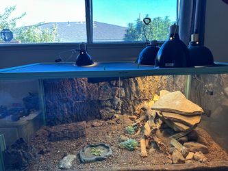 4 by 2 foot Reptizoo Reptile Enclosure w/ all accessories!