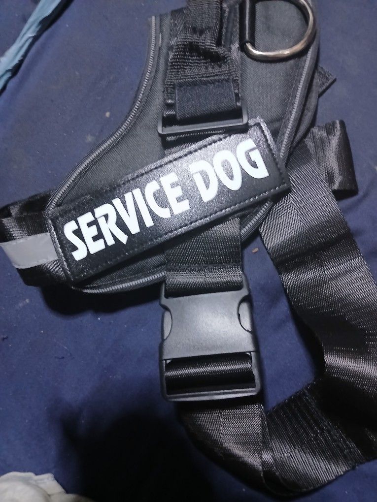 Service Dog No Pull Body Harness New Size Large 20 Firm