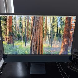 2021 M1 iMac 7 Core 256 GB In Excellent Condition 