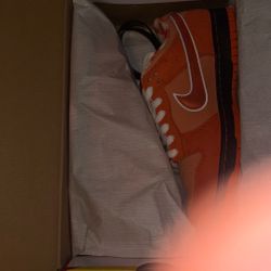 Nike Sb Orange Lobster 