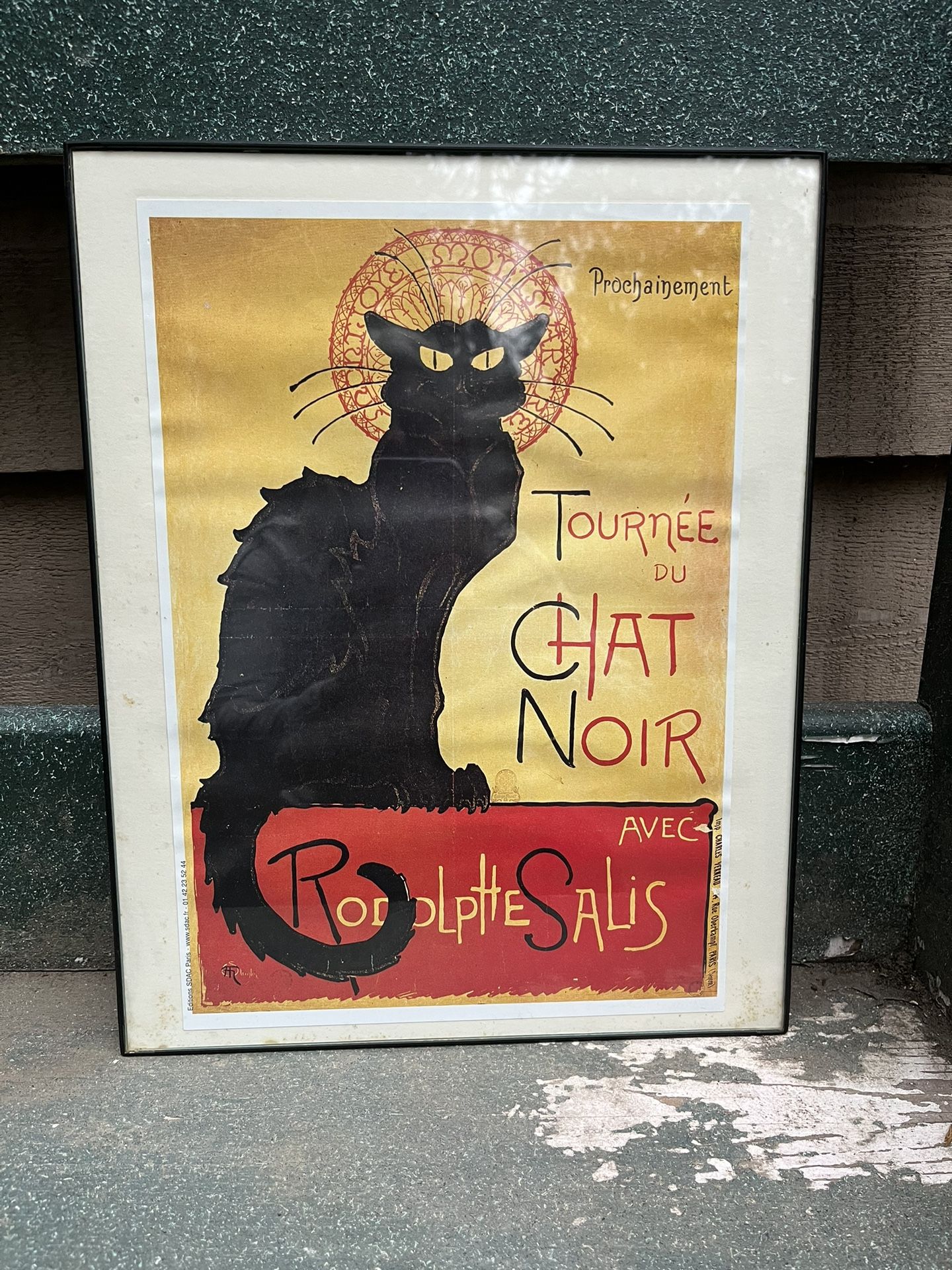 french cat picture