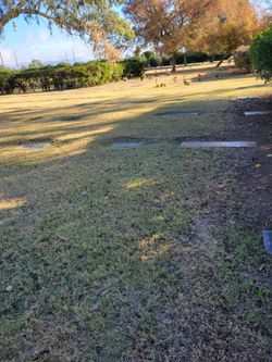 Grave sites