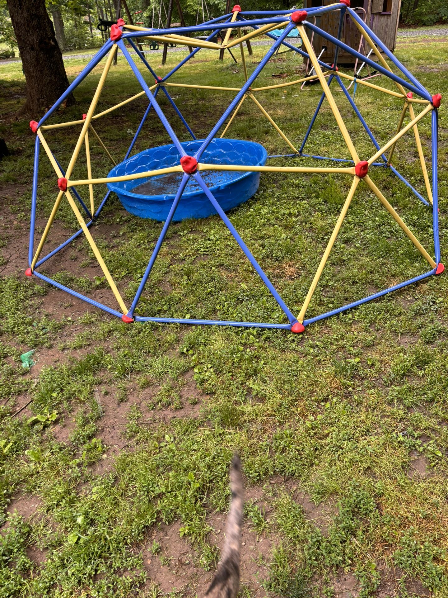 Kids Climbing Dome