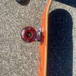 Long Skateboard - Vintage Retro LIB Tech 