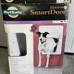 Electric Pet Door