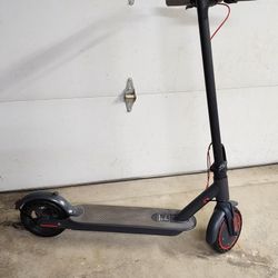 Adult Aovopro Electric Scooter