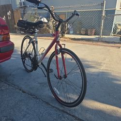 Schwinn Tourist Bike
