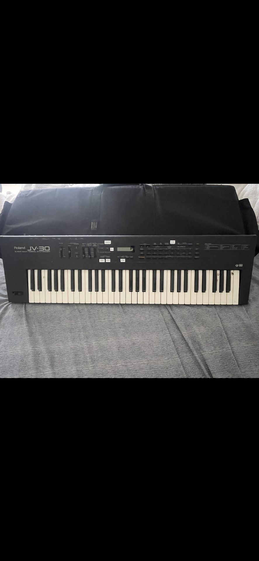 Roland JV-30  $300