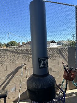 Pro Boxing Punishing Bag 