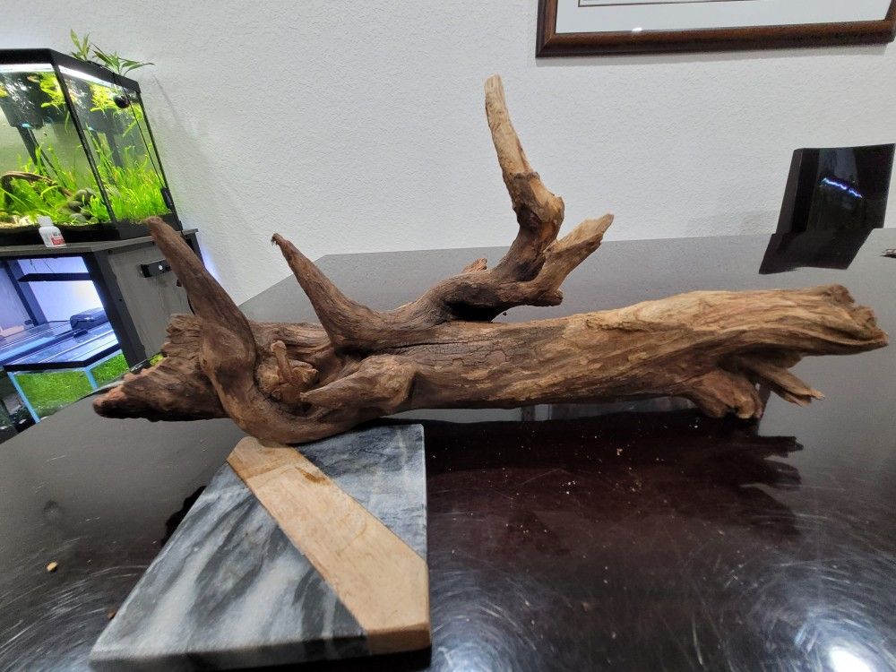 Large Aquarium Reptile Fish Driftwood