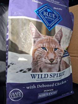 Cat food