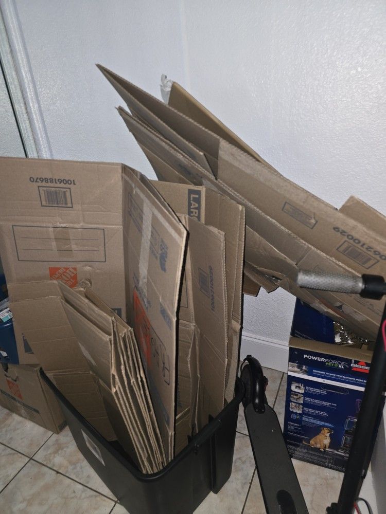 Moving Boxes