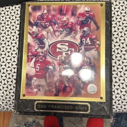 Framed 2001 SF 49ers Picture