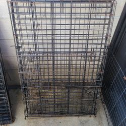 Large Dog Kennel