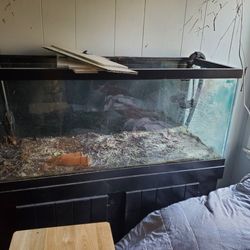 75 Gallon Aquarium With Cabinet Stand