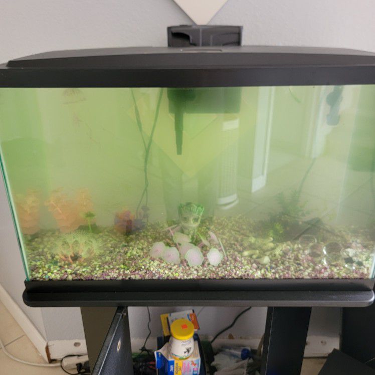 30 Gallon Fish Tank