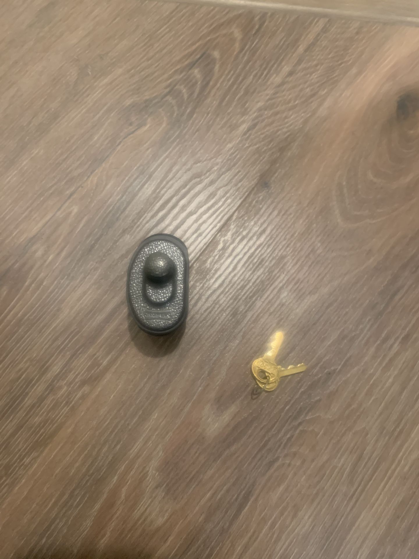 Master Trigger Lock