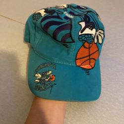 Charlotte Hornets Hat