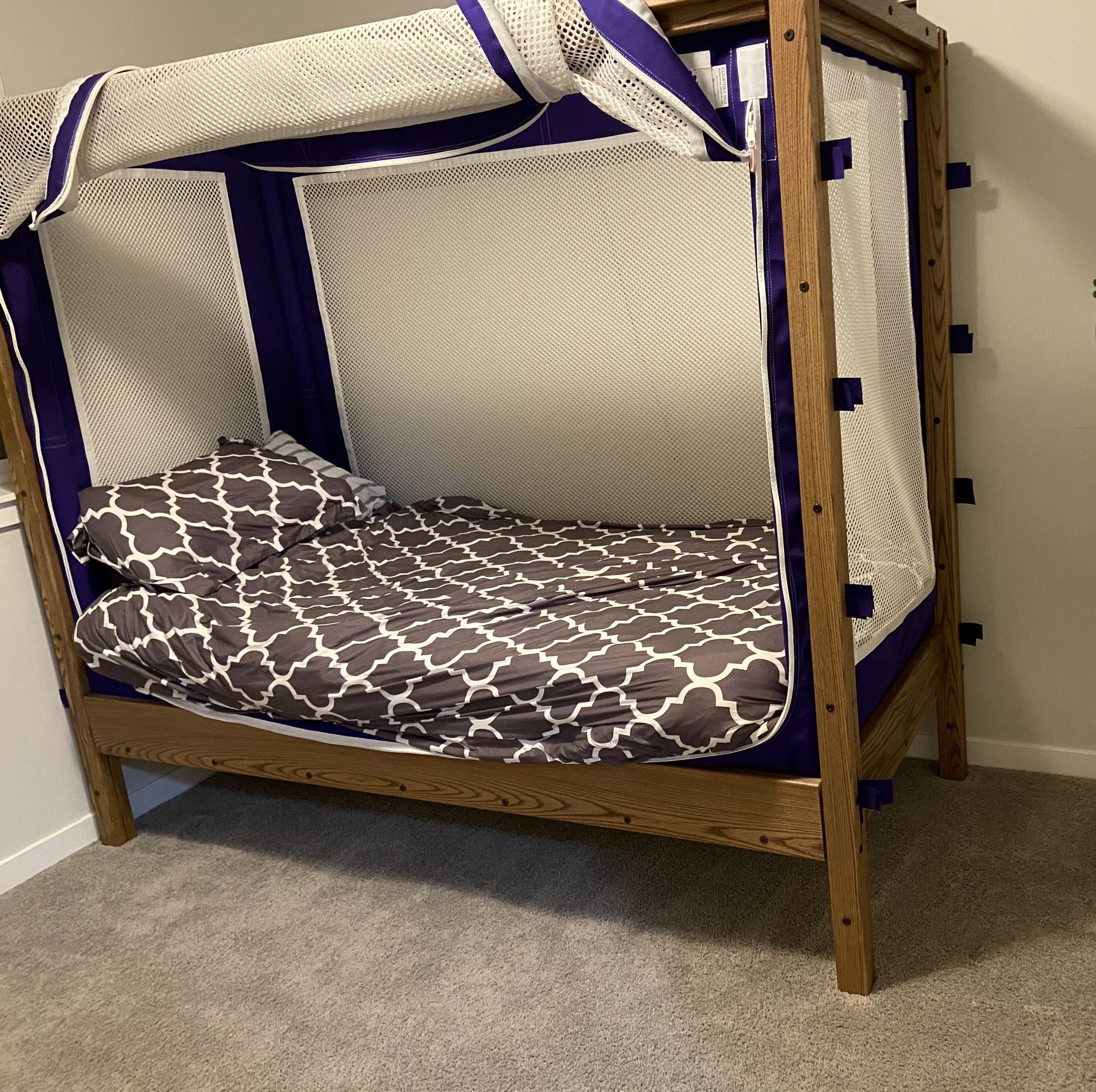 Enclosed Canopy Bed By Courtney 