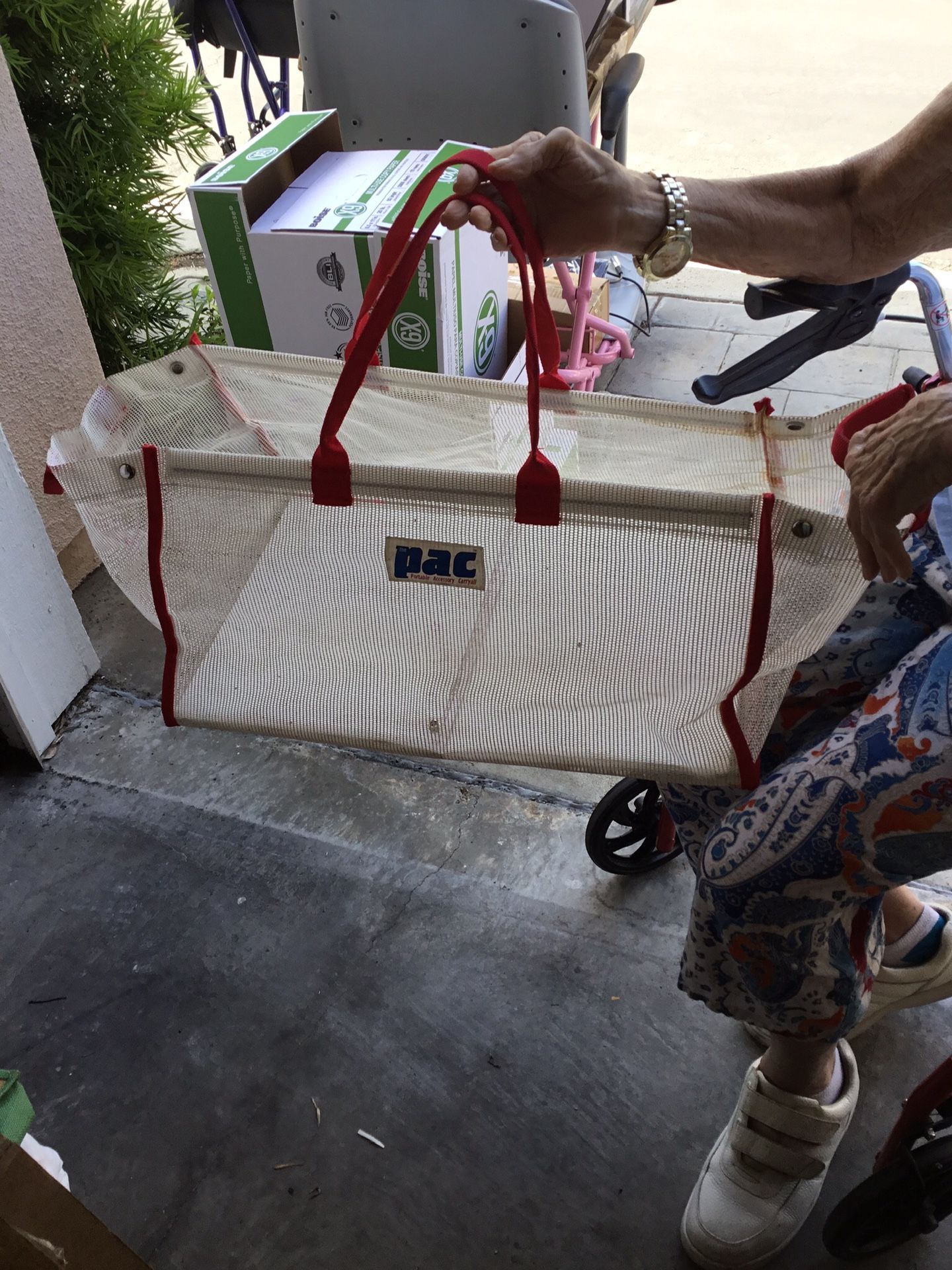 Trunk carrier