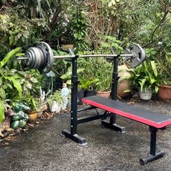 STANDARD BENCH PRESS BENCH: STRAIGHT BAR & 160 LB. OF PLATES :  25s  10s  5s  2.5s    °  *  °  *   °    BENCH FOLDS UP TO SAVE SPACE WHEN NOT BEING US