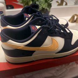 Nike Dunk Low Retro
