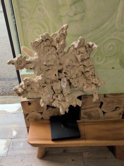 Natural Teak Root Sculpture on Black Stand