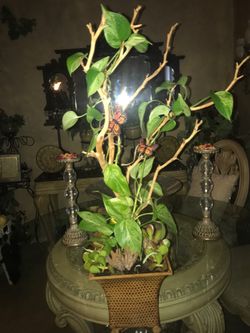2 stunning decorating pots