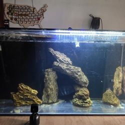 Fish Tank 125 Gallons - Complete System with Filter