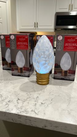 Indoor/ Outdoor Christmas Bulb