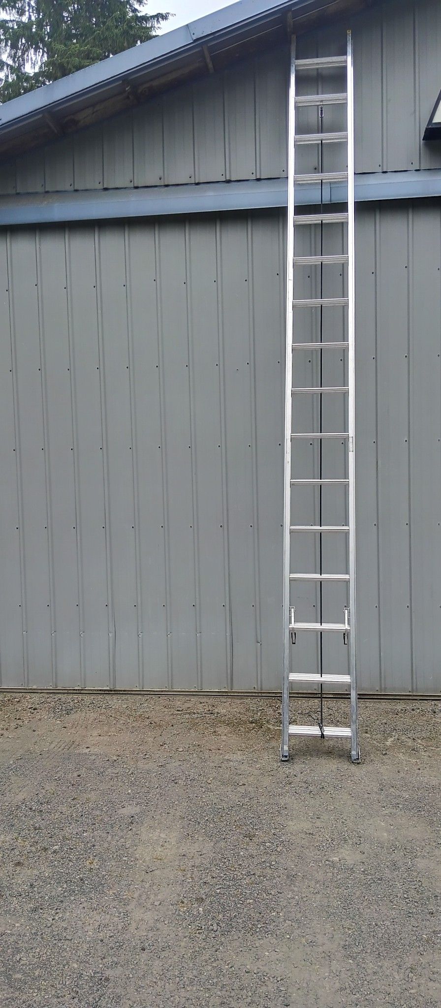 Werner Ladder