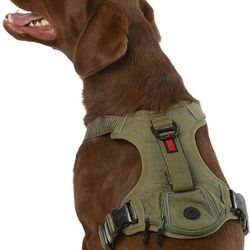 Kong Green Pet Harness 